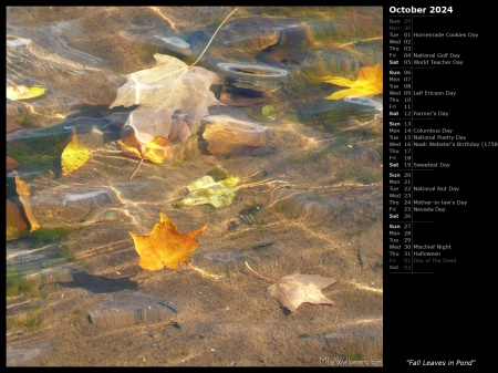 Fall Leaves in Pond