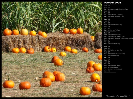 Pumpkins, Corn and Hay