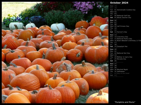 Pumpkins and Mums