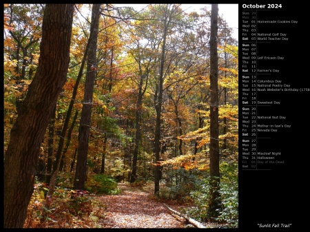 Sunlit Fall Trail