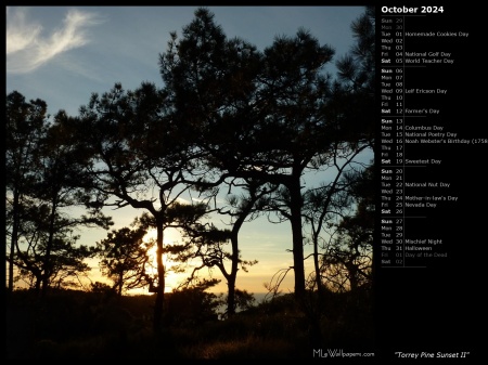 Torrey Pine Sunset II