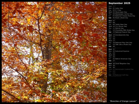 Branches of Orange Leaves