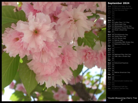 Double Blossoming Cherry Tree II