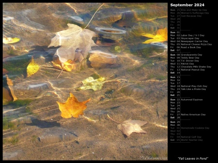 Fall Leaves in Pond