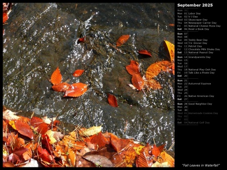 Fall Leaves in Waterfall