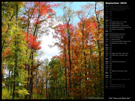 Fall Trees and Blue Sky