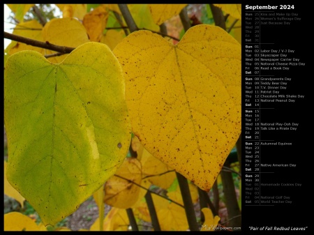 Pair of Fall Redbud Leaves