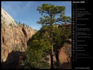 Trail to Angels Landing