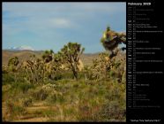 Joshua Tree National Park