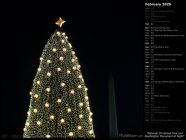 National Christmas Tree and Washington Monument at Night