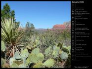 Red Rocks and Cacti I