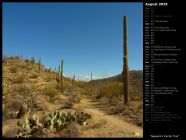 Saguaro's Carillo Trail