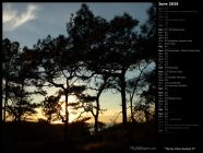 Torrey Pine Sunset II