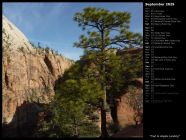 Trail to Angels Landing