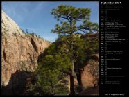 Trail to Angels Landing