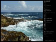 Aruba's Rocky Coast