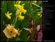 Daffodils and Lenten Roses