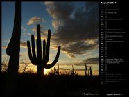 Saguaro Sunset II