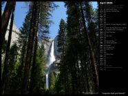 Yosemite Falls and Woods