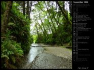 Fern Canyon II