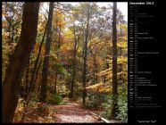 Sunlit Fall Trail