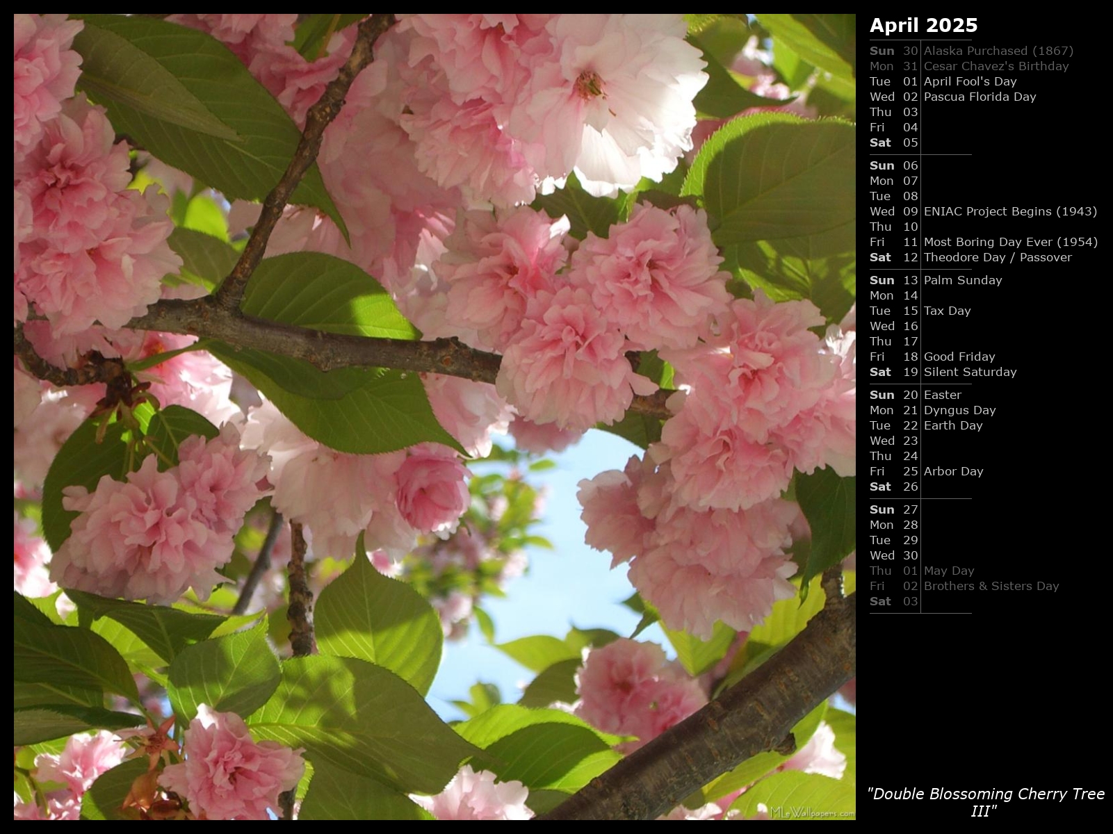 download cherrytree for windows 10