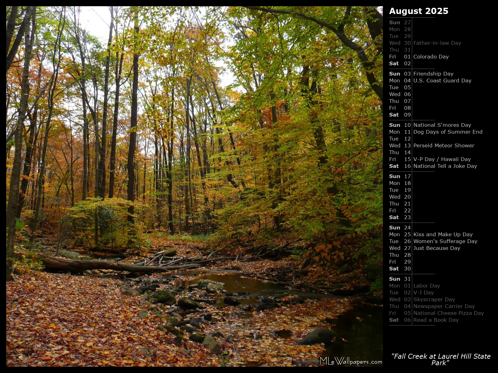 Fall Creek at Laurel Hill State Park (Calendar)