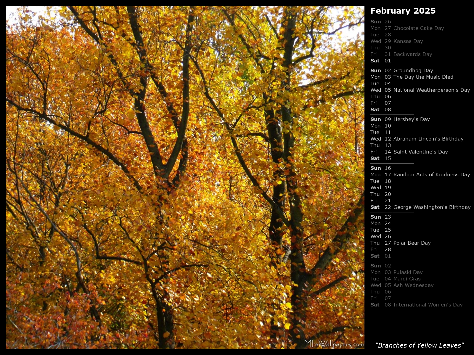 Mlewallpapers Com Branches Of Yellow Leaves Calendar