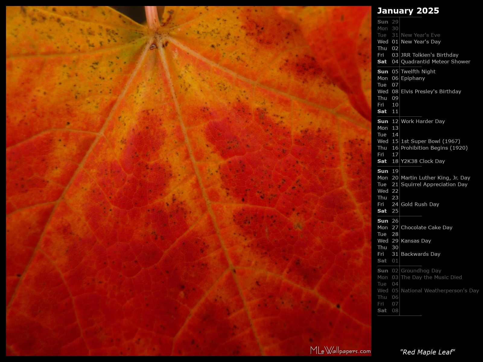 MLeWallpapers.com - Red Maple Leaf (Calendar)