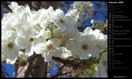 White Blossoms II