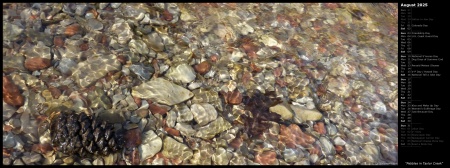 Pebbles in Taylor Creek