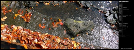 Fall Leaves in Waterfall