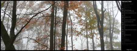 Foggy Fall