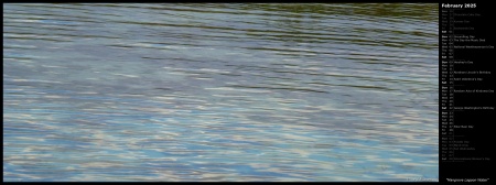 Mangrove Lagoon Water