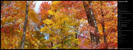 Orange and Yellow Fall Trees