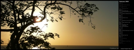 Sunset Through Trees II