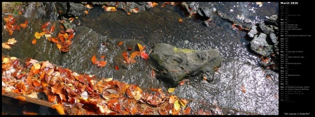 Fall Leaves in Waterfall