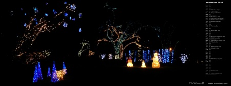 Winter Wonderland Lights