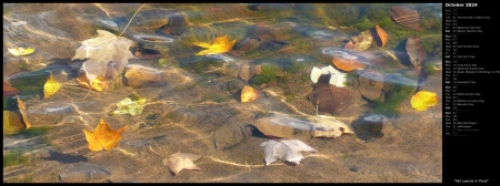 Fall Leaves in Pond