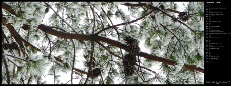 Underneath the Snow Covered Pine