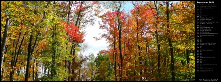 Fall Trees and Blue Sky