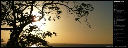 Sunset Through Trees II