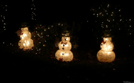 Snowman Holiday Light Display