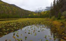 Fall Color at Cub Lake