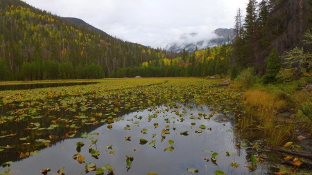 Fall Color at Cub Lake