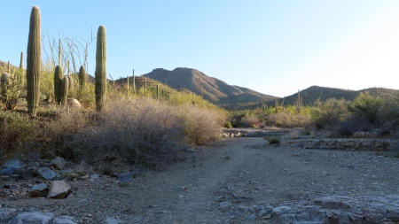 King Canyon Trail I