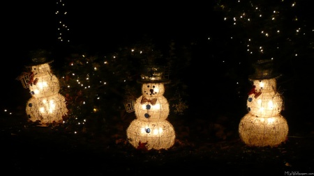 Snowman Holiday Light Display