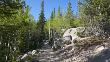 Trail to Alberta Falls