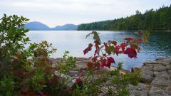 Eagle Lake and Red Maple Leaves