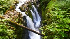 Sol Duc Falls I